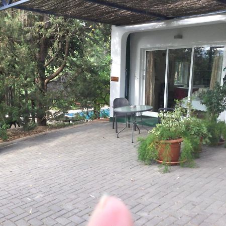 Finca El Rio,, La Casita One Of 2 Self Catering Studios. Pool And Hydrotherapy Jacuzzi Málaga Exteriör bild