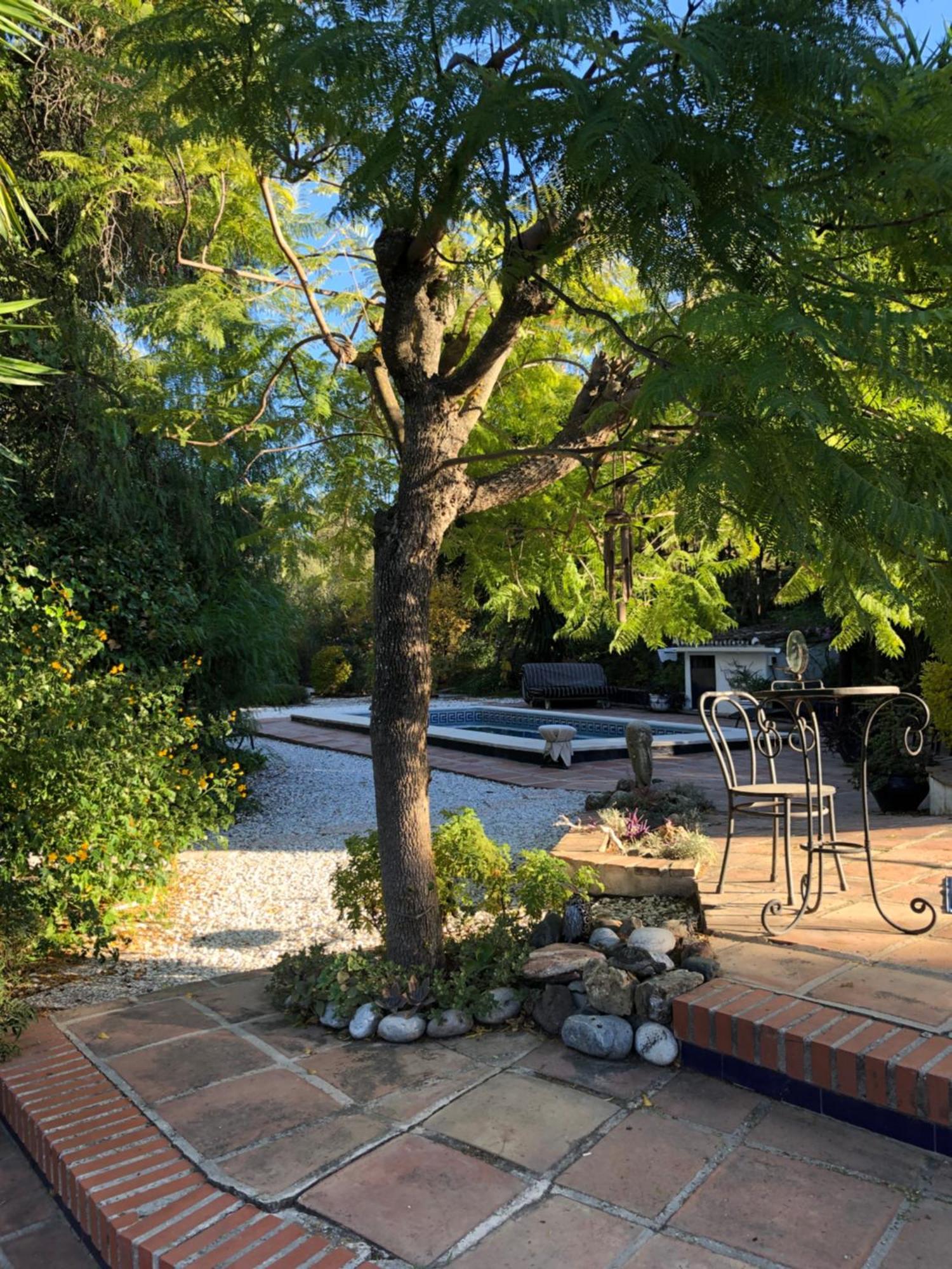 Finca El Rio,, La Casita One Of 2 Self Catering Studios. Pool And Hydrotherapy Jacuzzi Málaga Exteriör bild